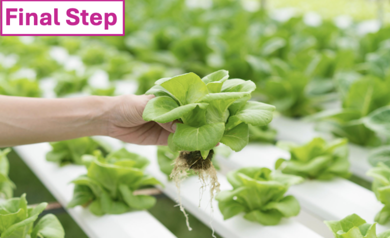 FROM THE POINT OF VIEW OF PLANTS - AWARE project: trial test