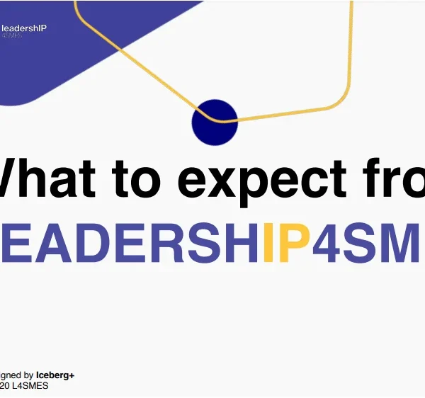 l4smes-2 l4smes-2